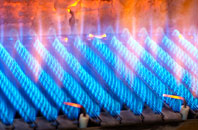 Longworth gas fired boilers
